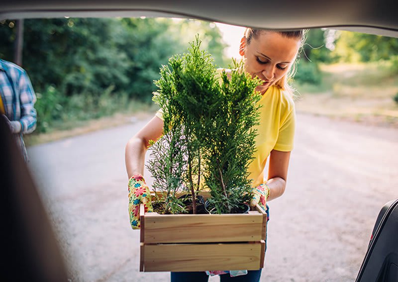 How to transport your plants by http://thezebra.com/