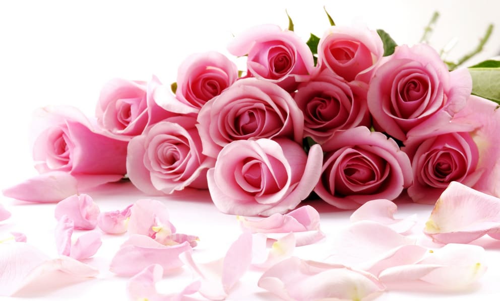 ​Flower Care Tips for Roses