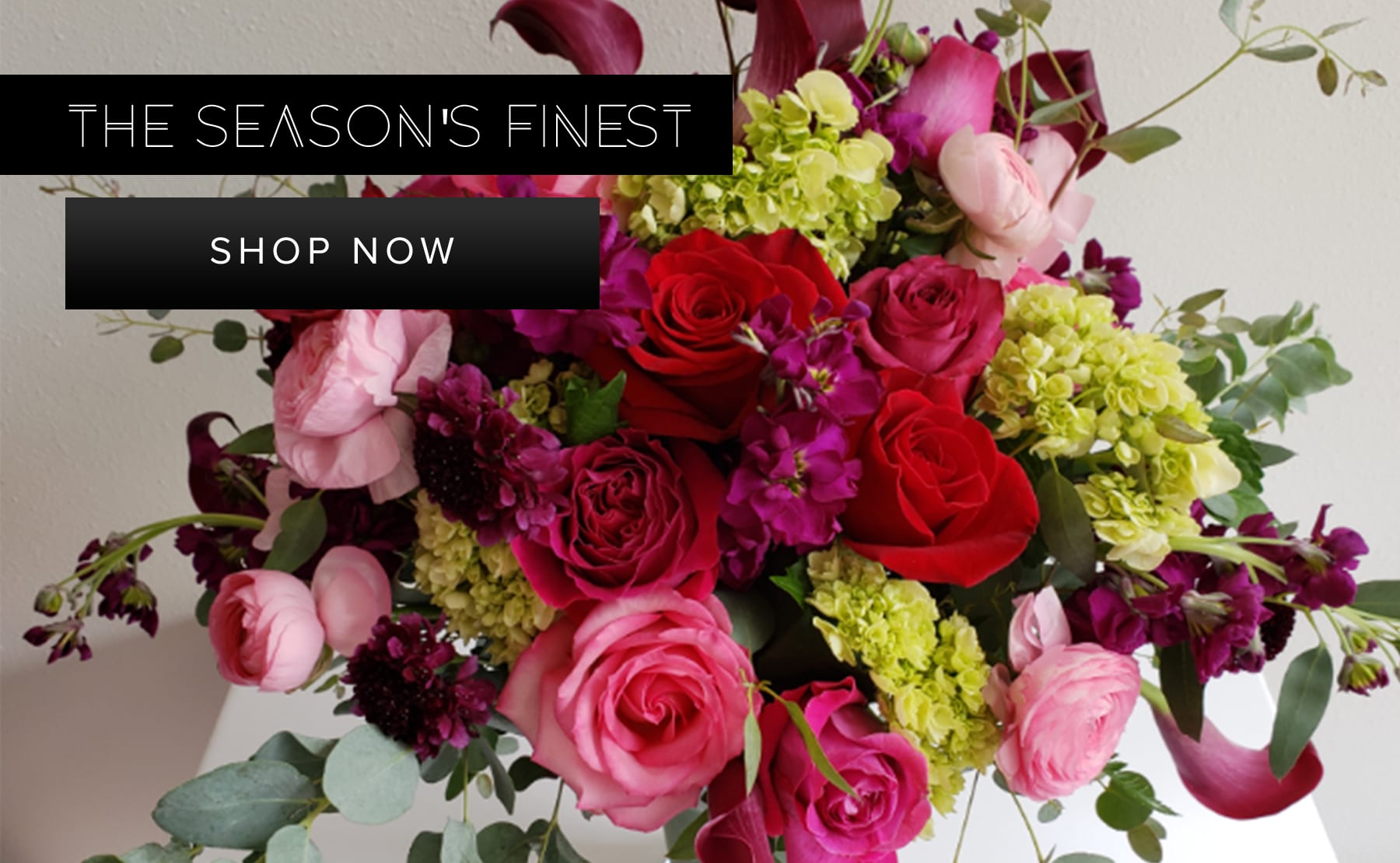 Watertown Florist Flower Delivery by Elegant Arrangements