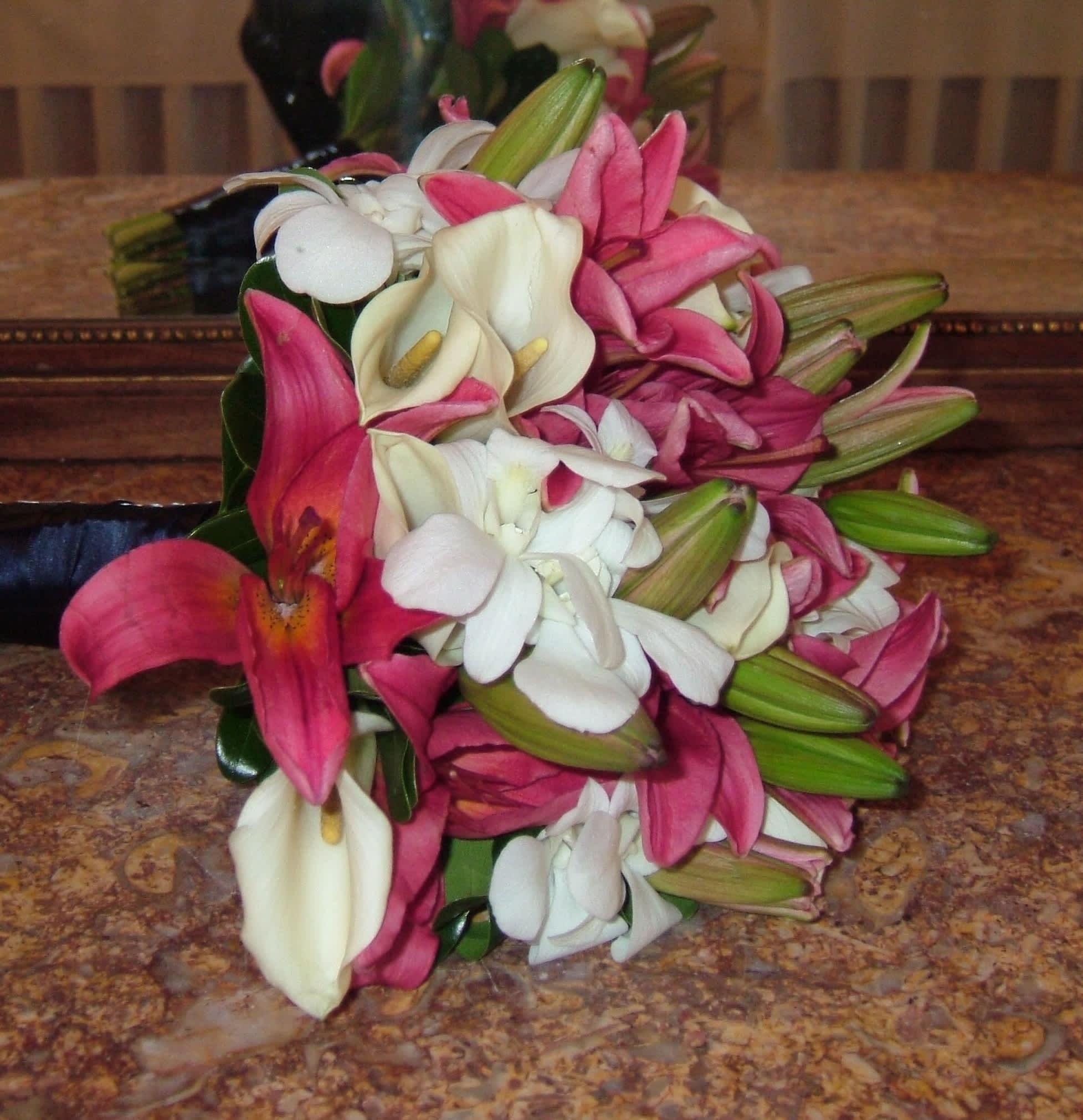 Hollywood School House, Pink and Navy Blue 