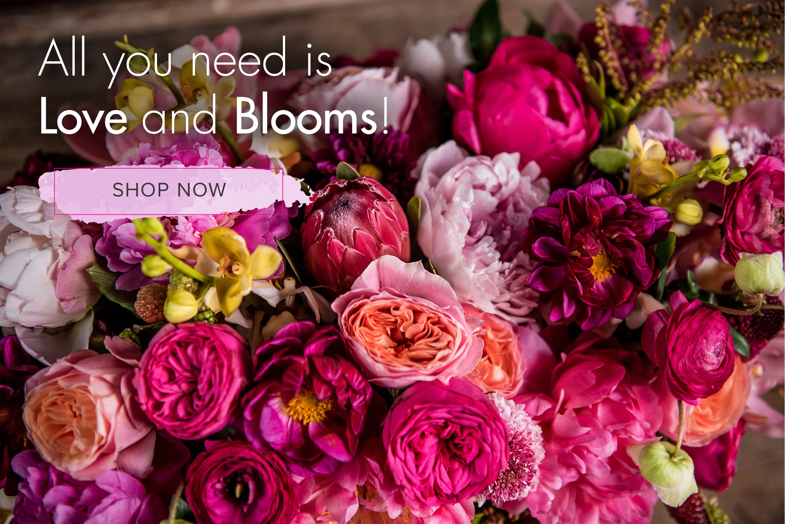 West Hollywood Florist Flower Delivery by Seed Floral