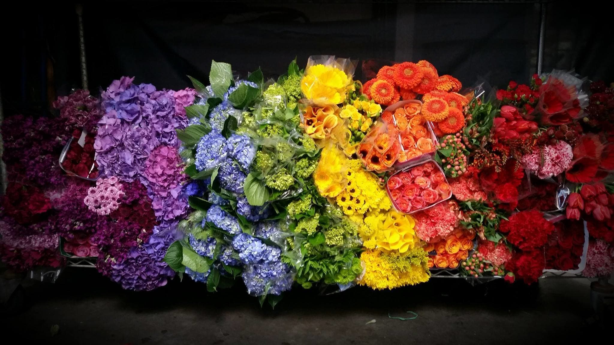 flower wholesale