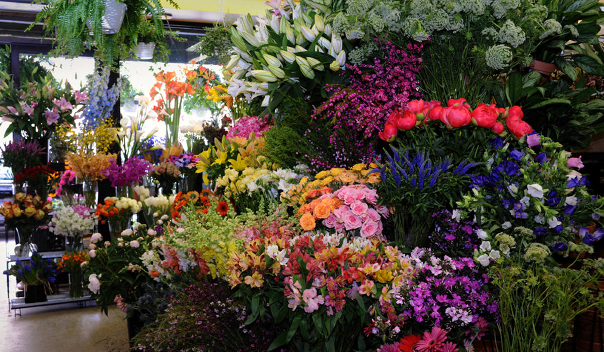 New York Florist Flower Delivery by Flowers by Philip
