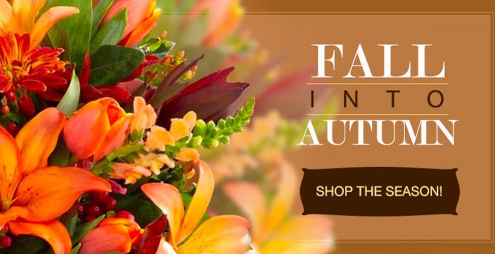 Racine Florist Flower Delivery by Petals by Felicia