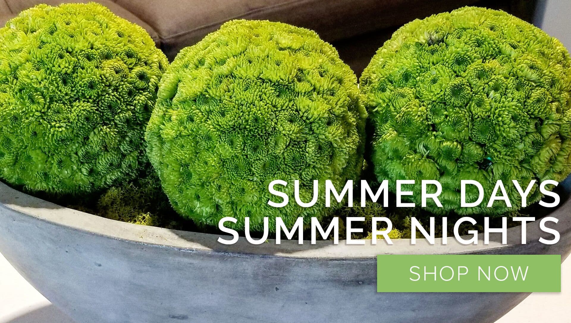 Cleveland Heights Florist Flower Delivery by Stems Fleur