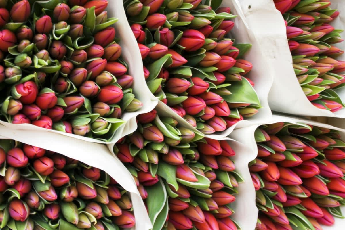 Express your Love on Valentine’s Day!