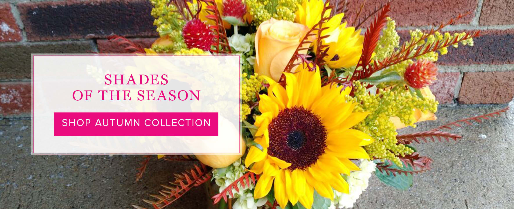 Londonderry Florist Flower Delivery by Harrington Flowers