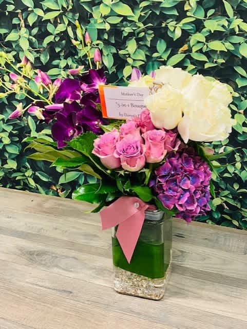 As Seen on Good Day Columbus