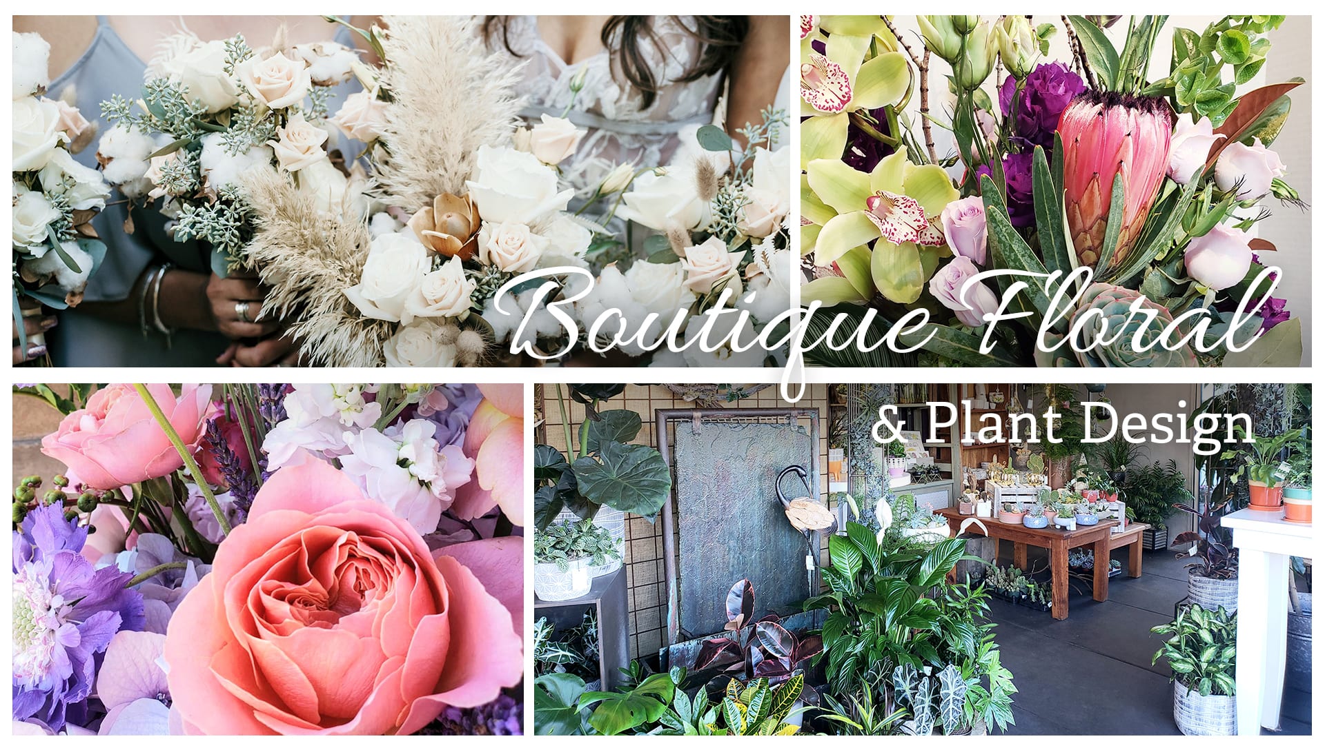 San Mateo Florist Flower Delivery by Blossoms and Botanicals
