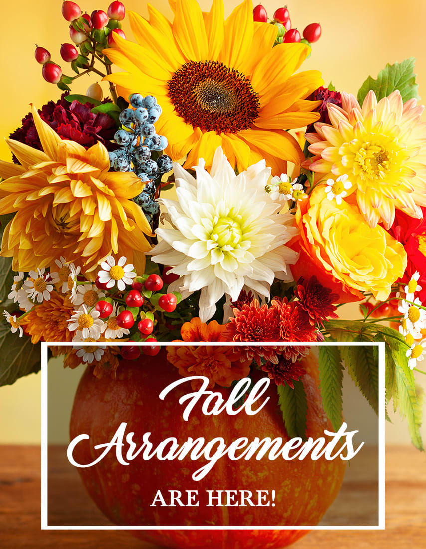 Miami Florist Flower Delivery by Dolly's Florist