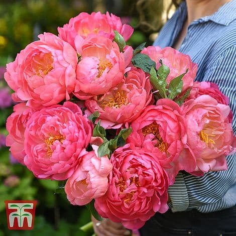 Welcome Back Teachers and Staff 