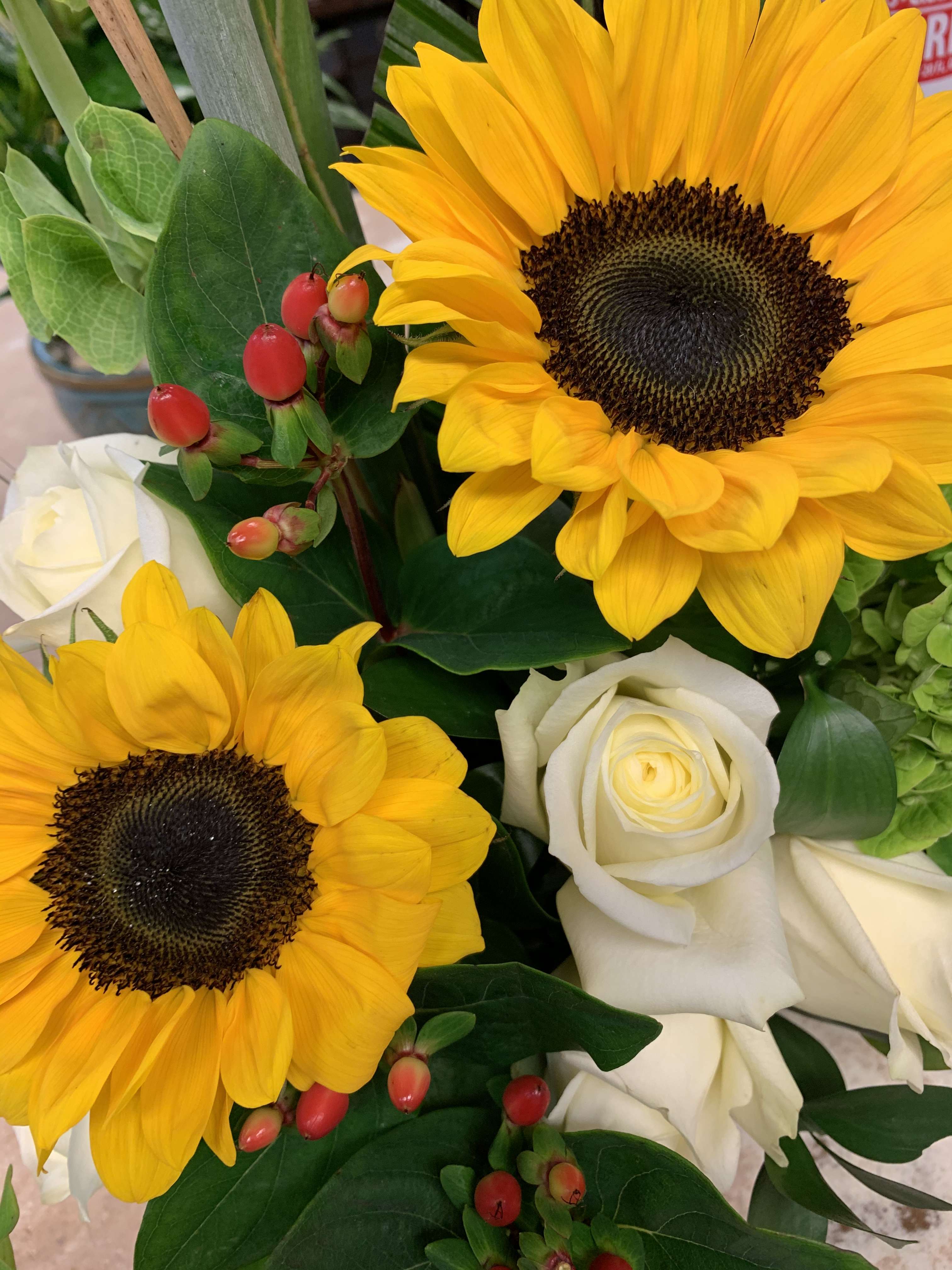 Summer’s Favorite Sunflower 