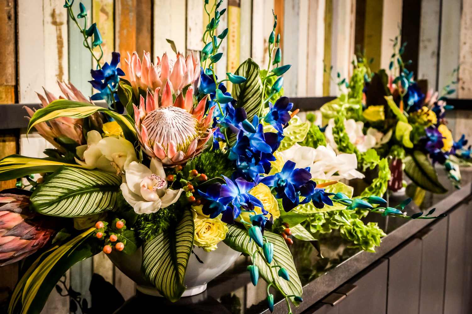 Dolphin Stadium Event 