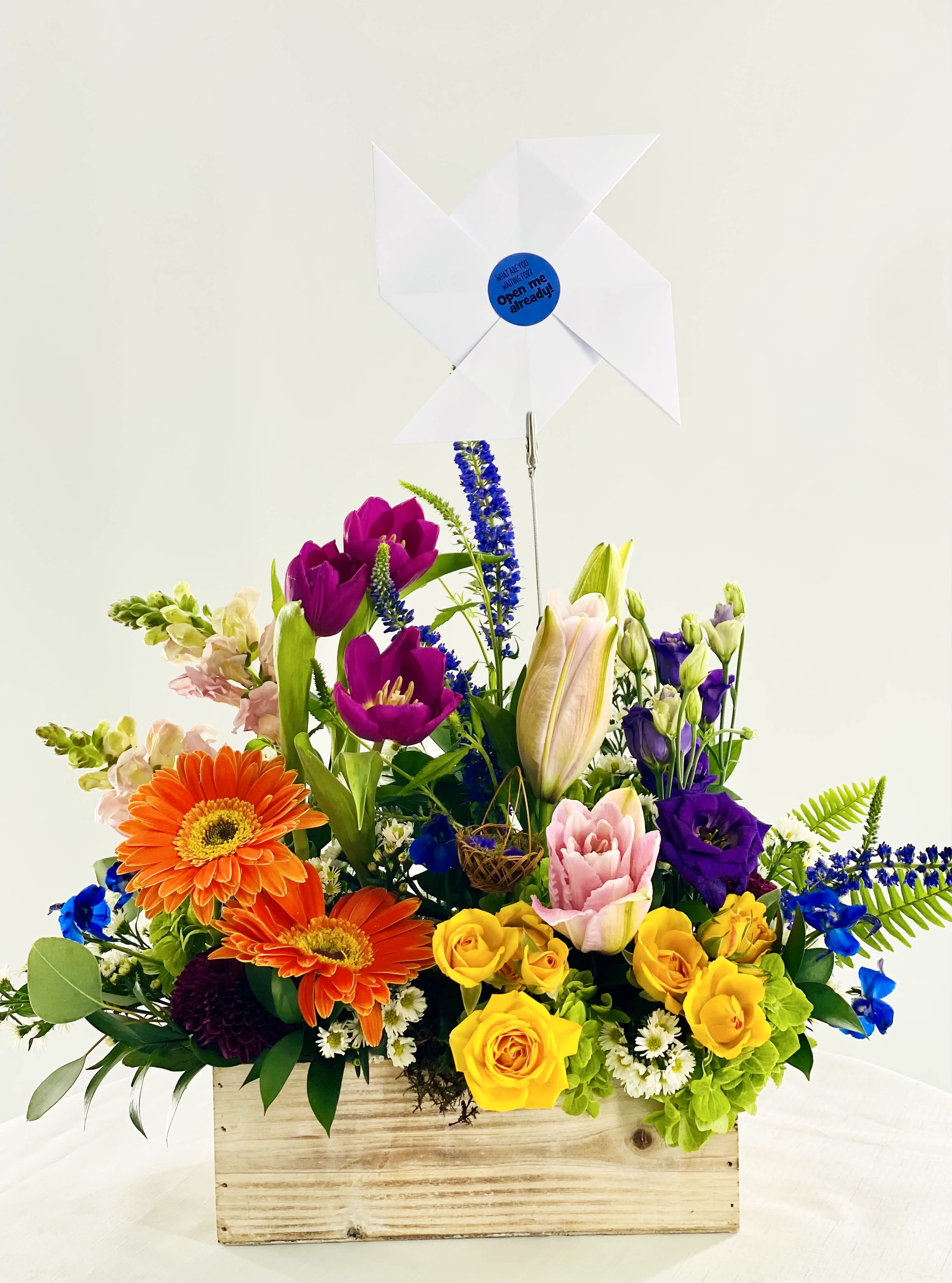 O,Miami and SWWIM Poetry in Bloom in April