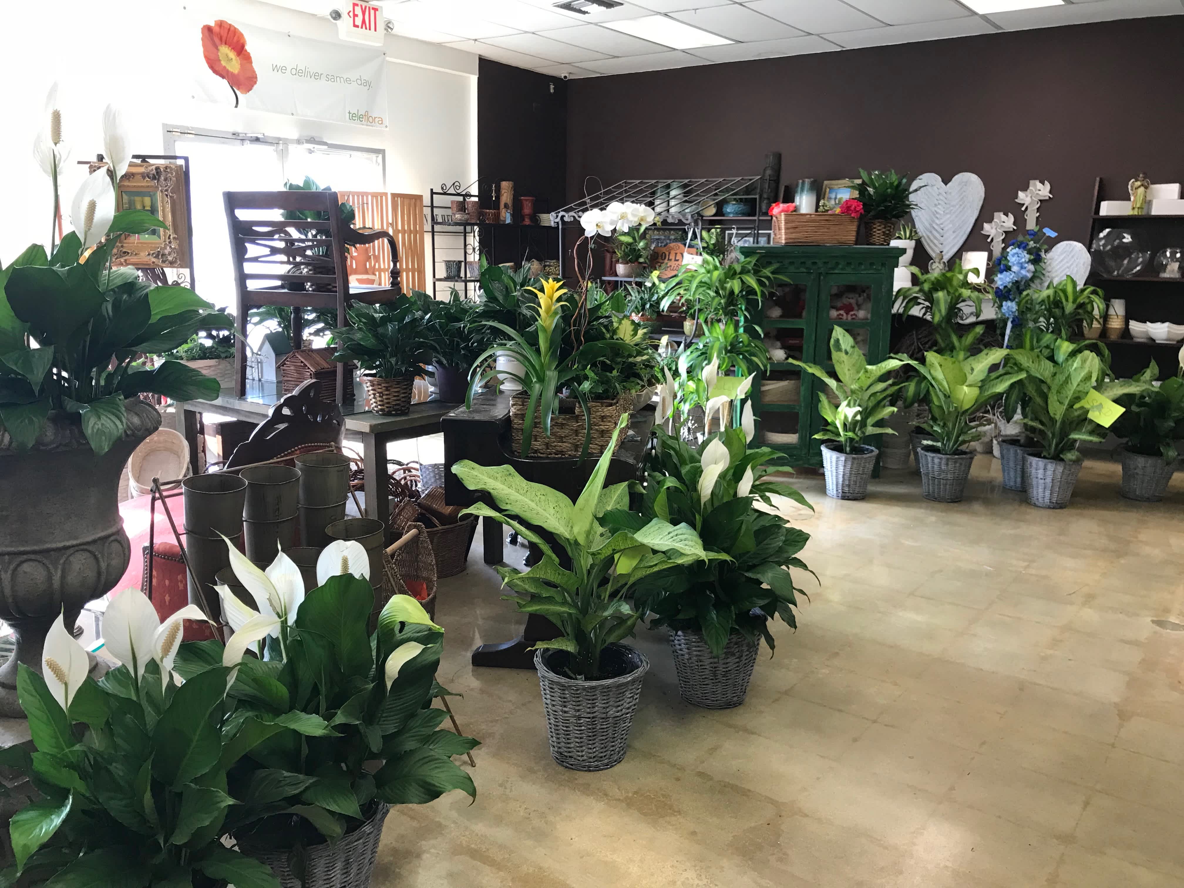 Take a tour of our store