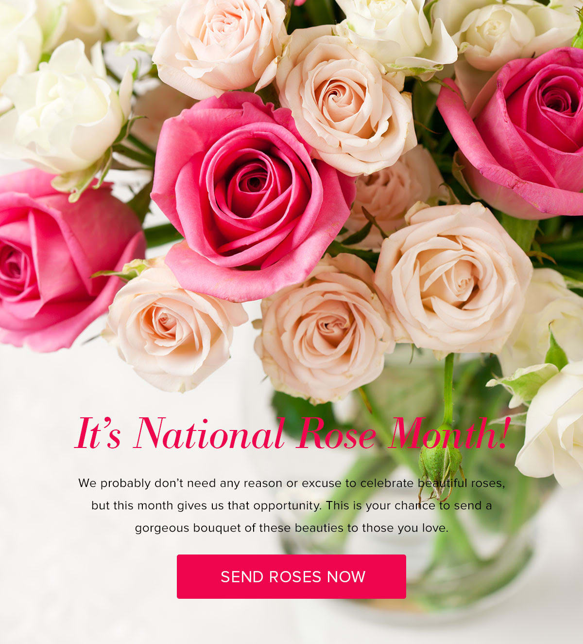NATIONAL ROSE MONTH