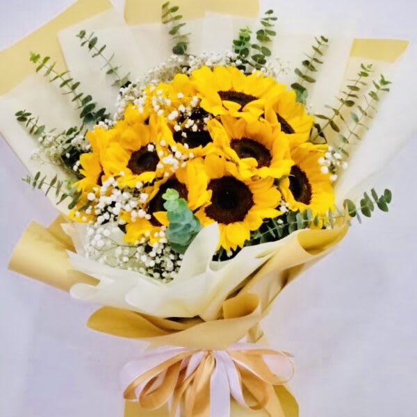 Sunflower Season is here! 