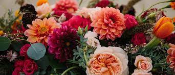 Cold Hardy Plants for Fall