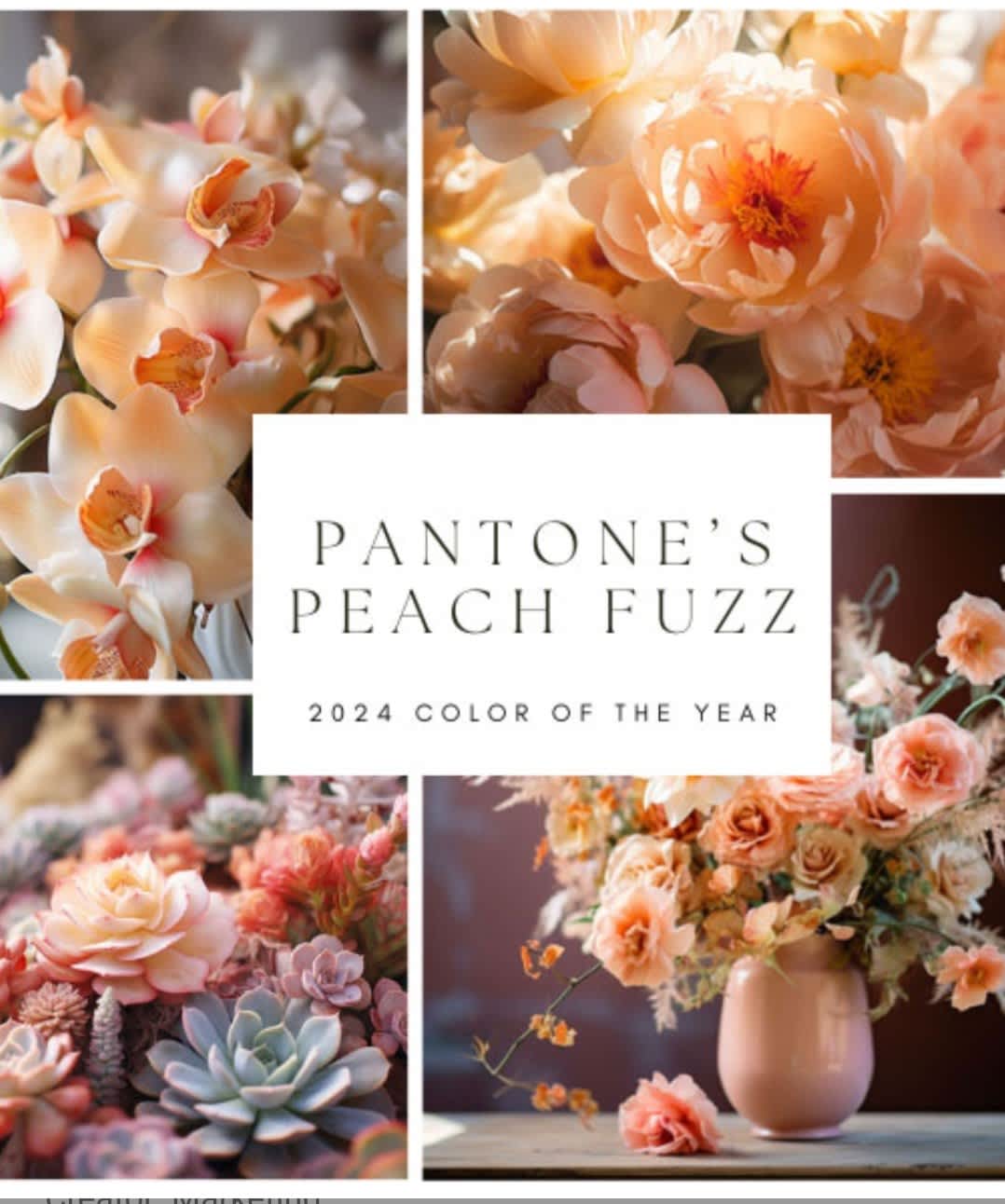 Color of the year 2024