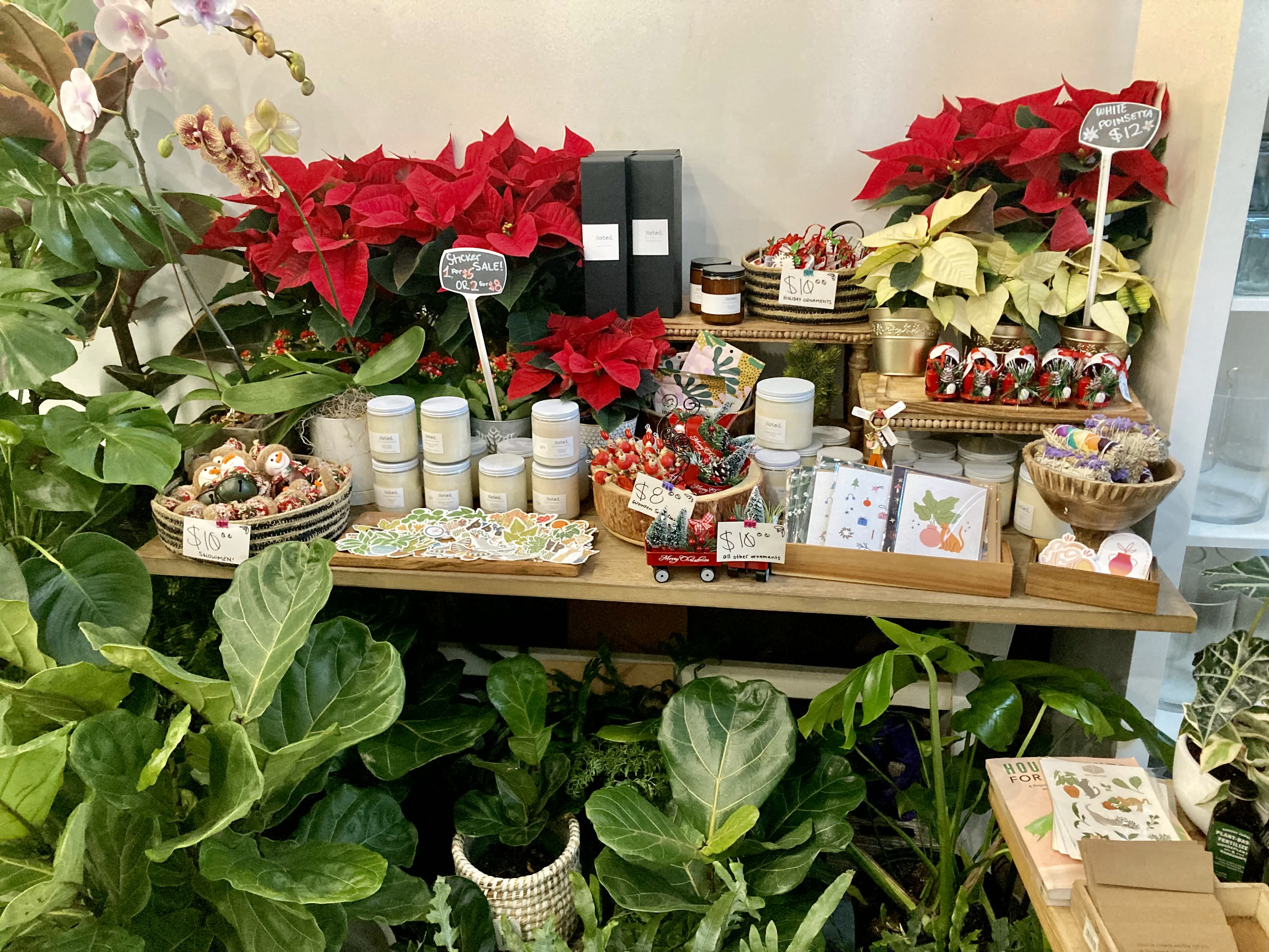 Gifts, Trees, and More!