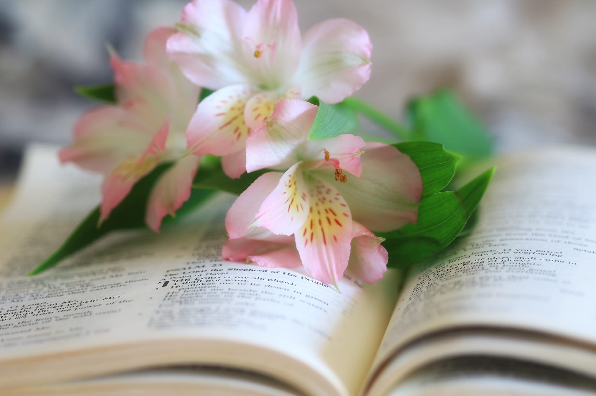 Floral Bouquets Inspired by Famous Moms in History