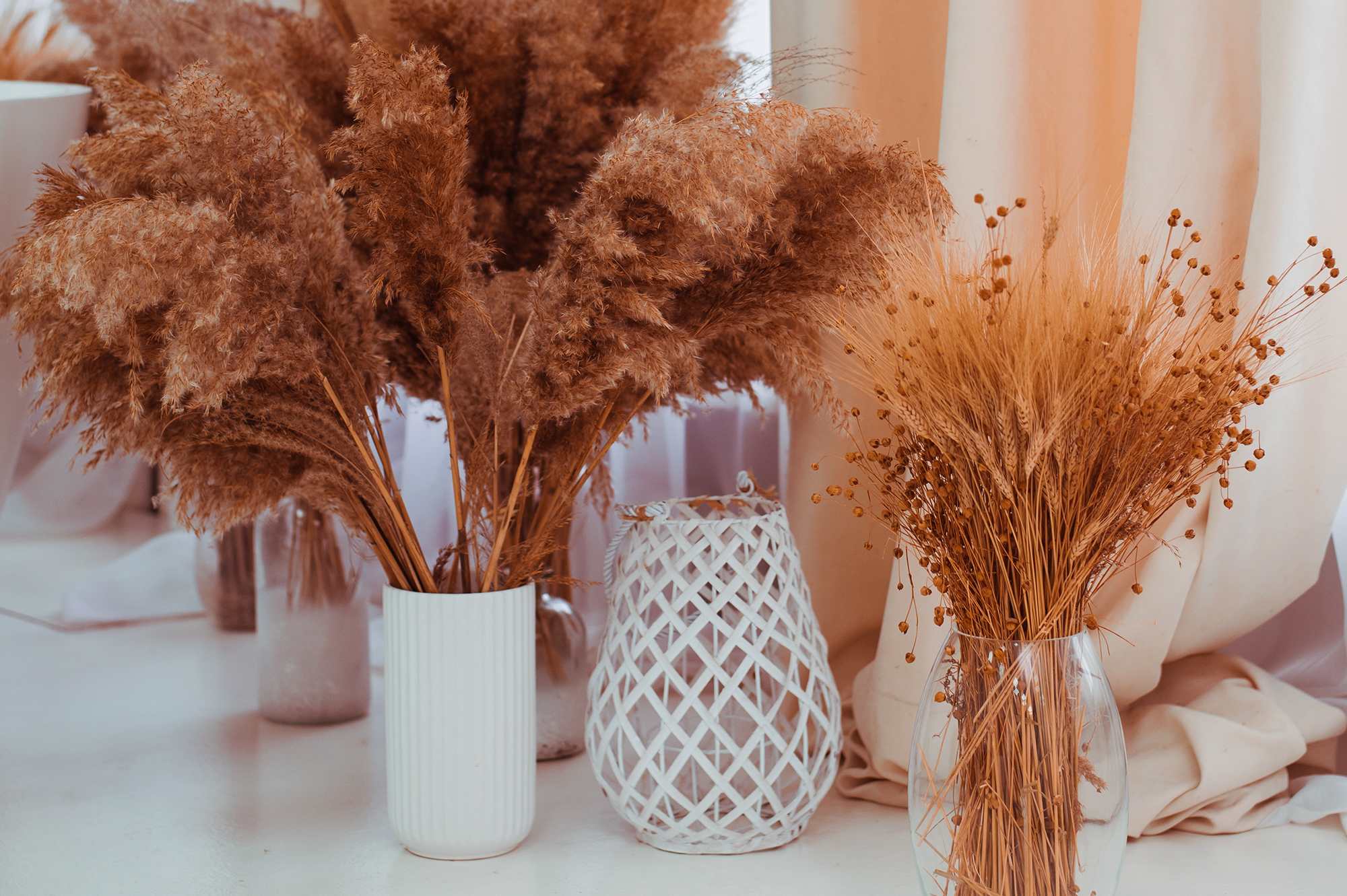 Embrace the Warmth: Pantone's Color of the Year