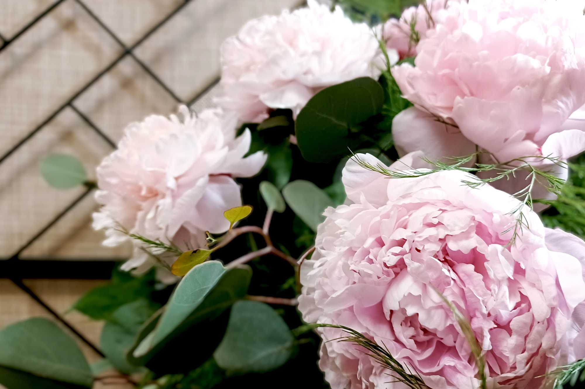 Summer Flowers: Your Guide for All Things Peonies