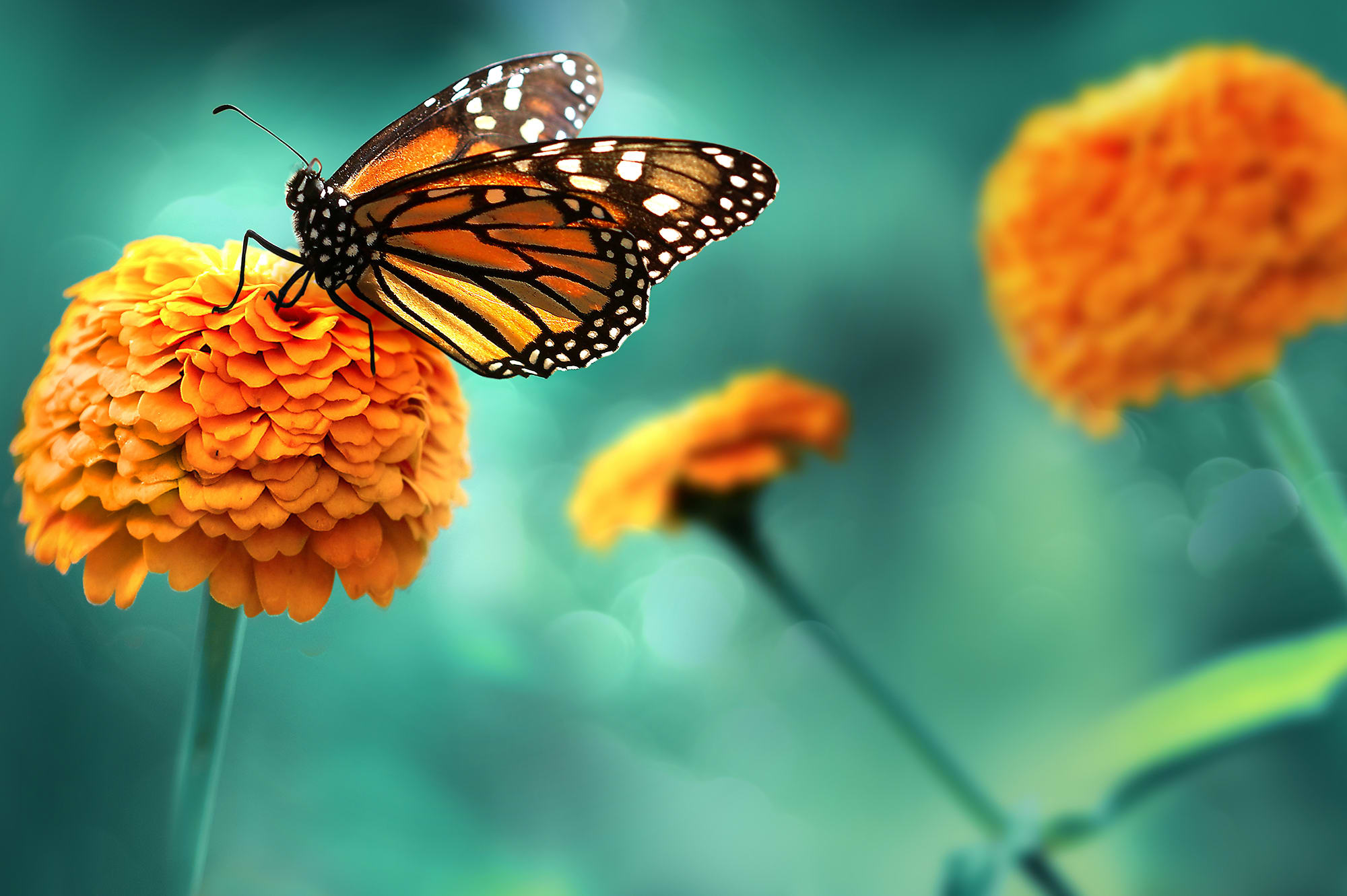 Why Change Can Feel Uncomfortable (& Why That’s Ok)