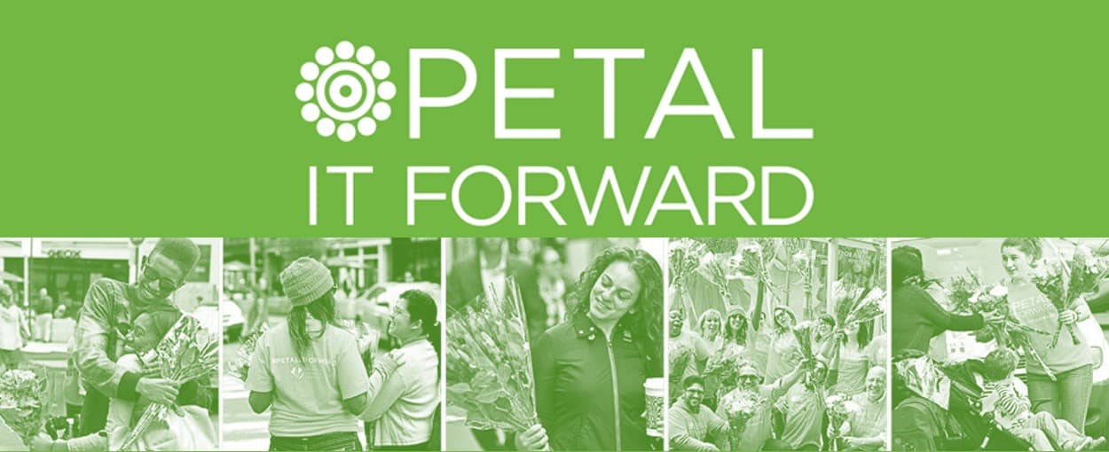 Thousands of Petals Set to Brighten Orlando