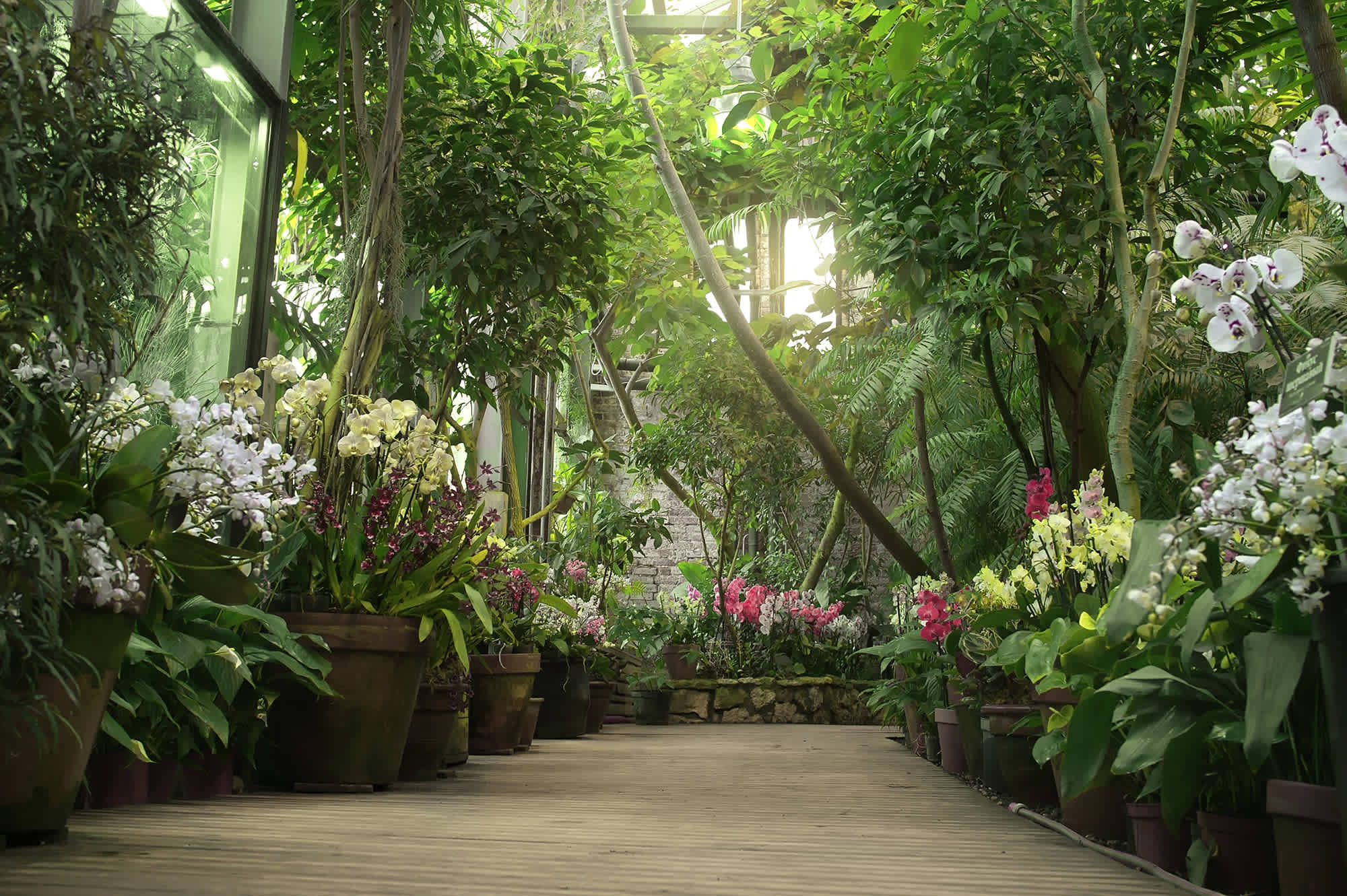 Six Central Florida Gardens to Immerse Yourself in