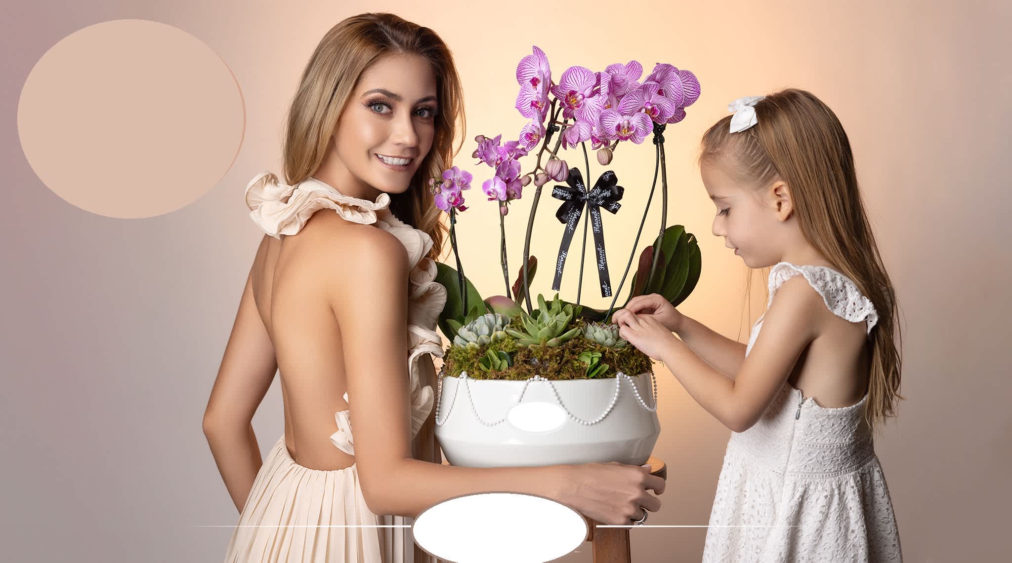 Orchid Plant Houston Delivery