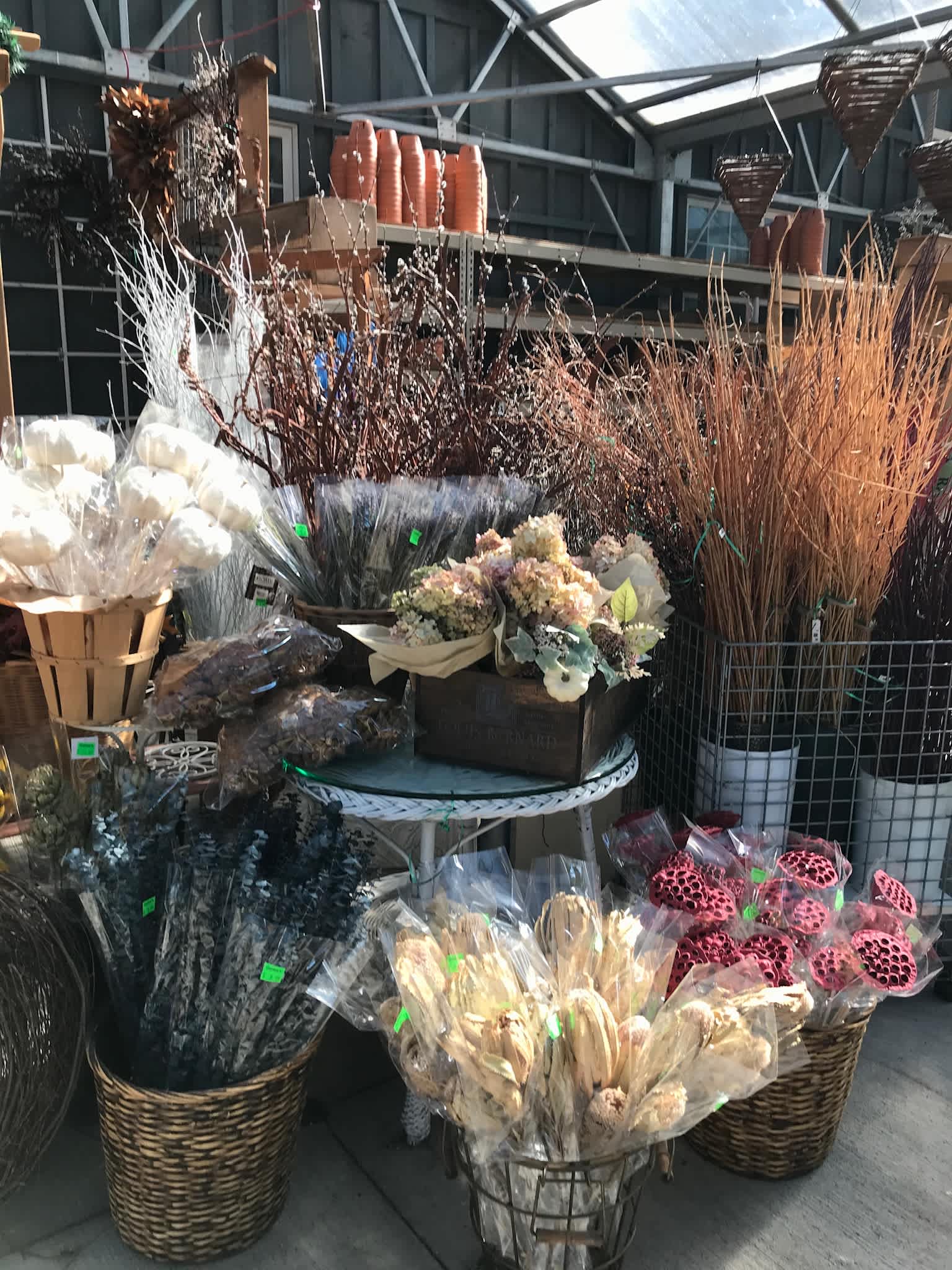 Dried Arrangements Supplies