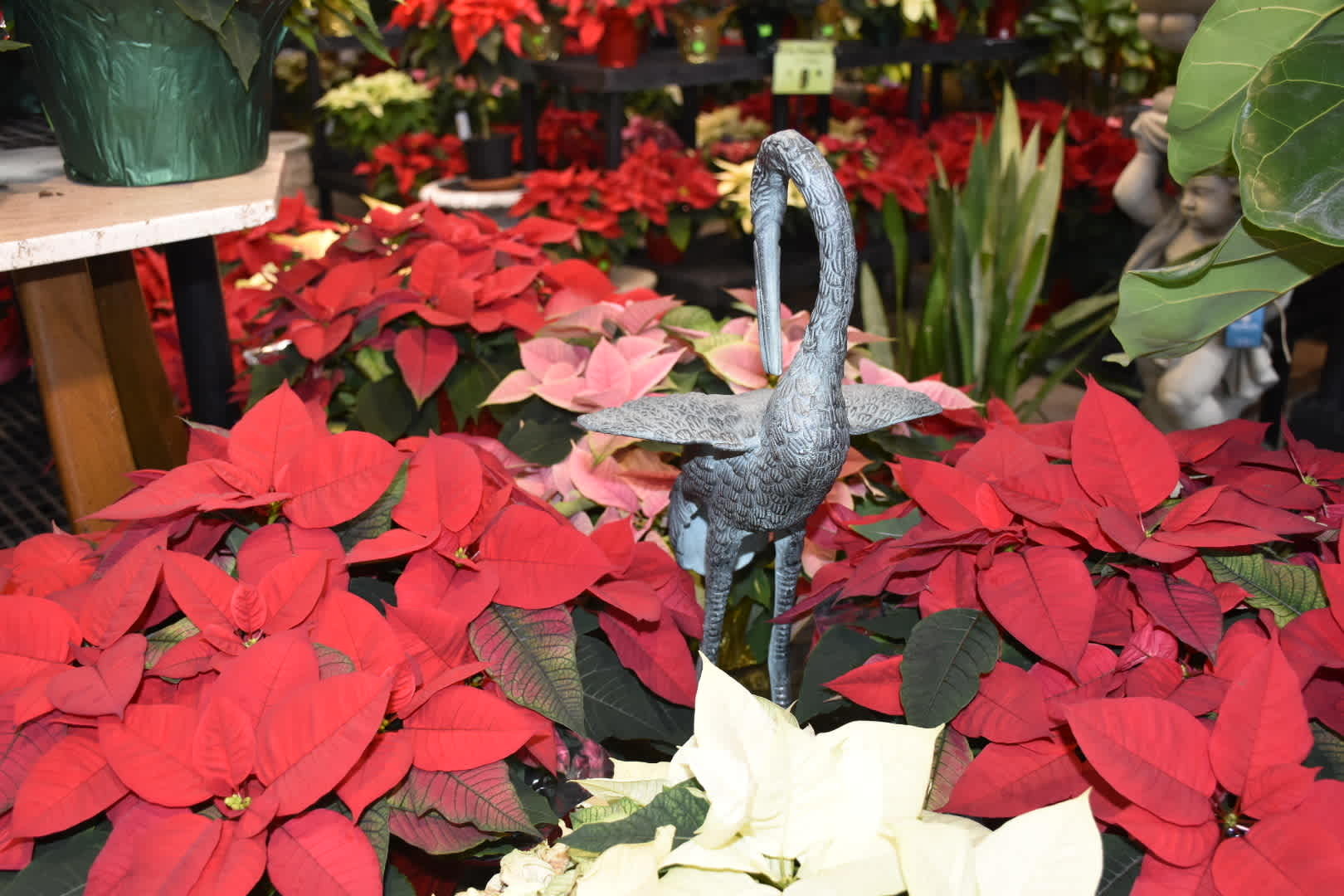 Give a Flowering Plant as a Gift this Holiday Season