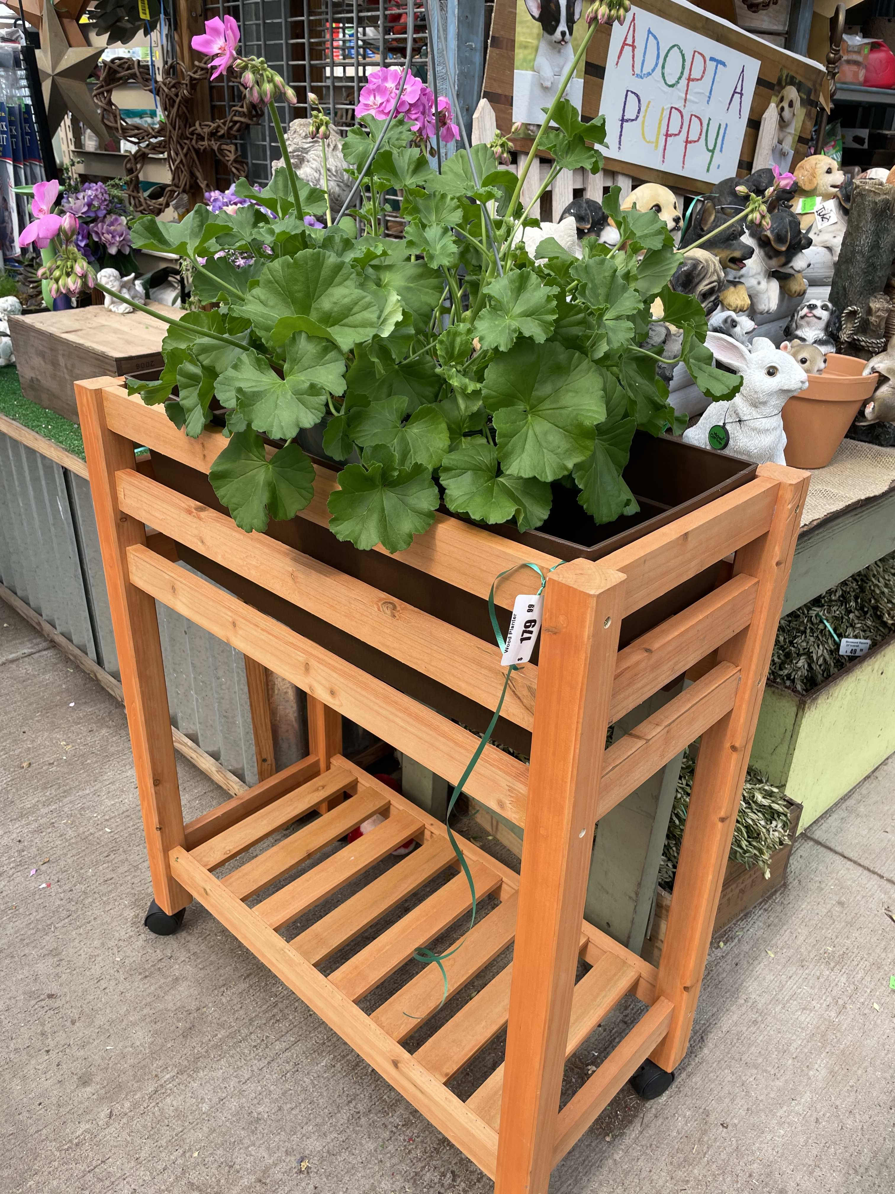 Huge selection of containers for the summer patio