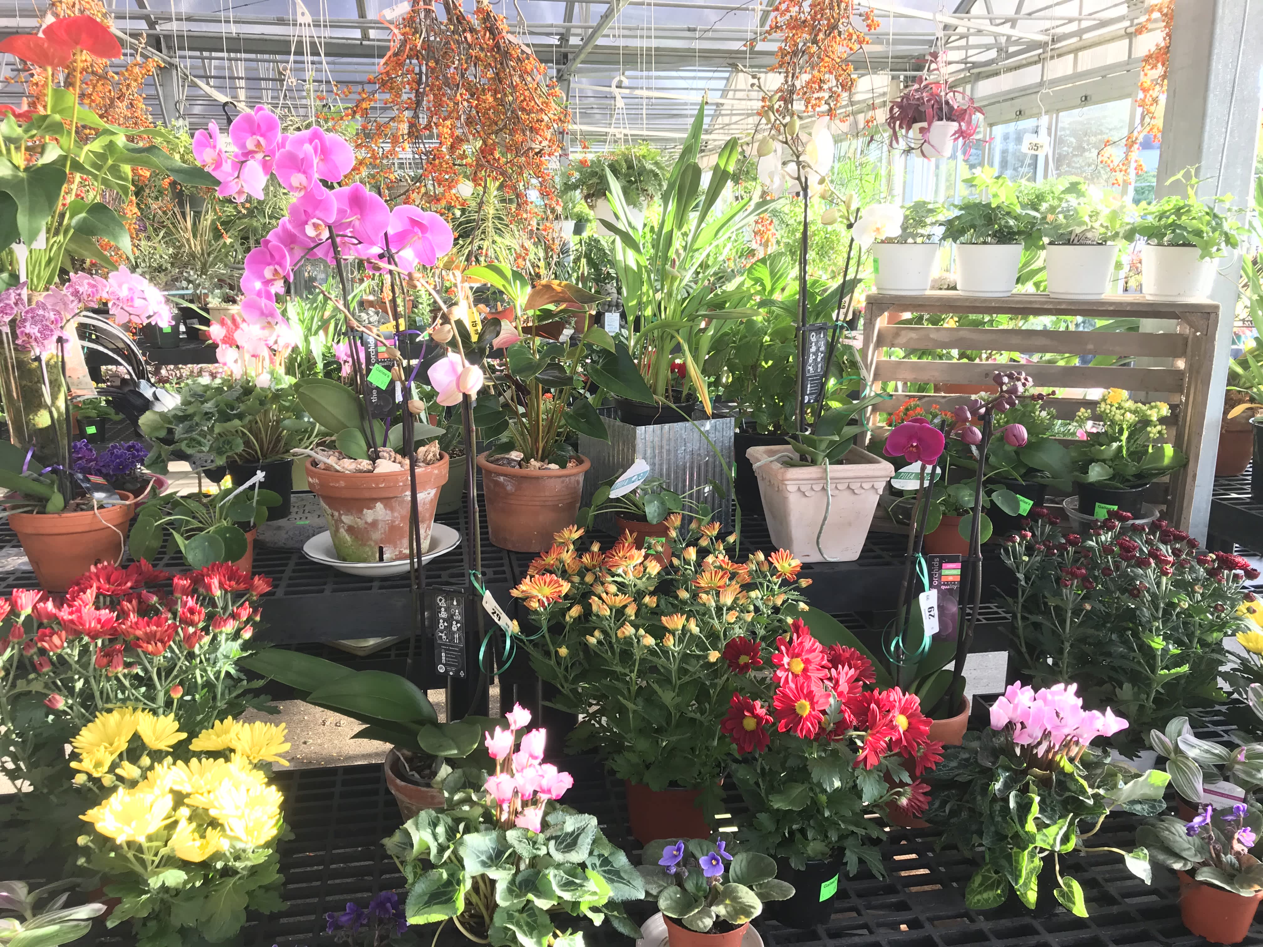 Need a Gift or more?