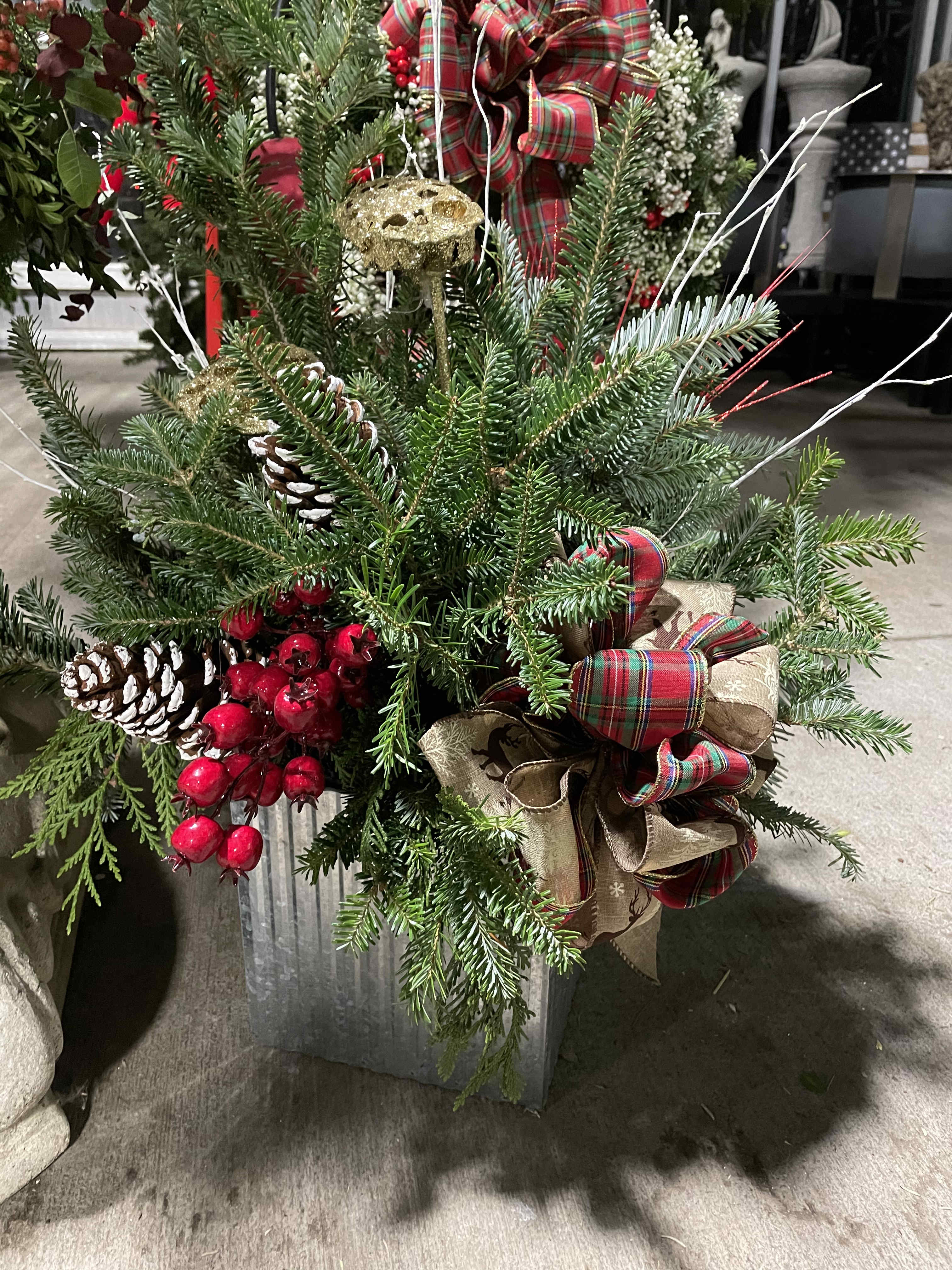 Christmas Greenhouse Display