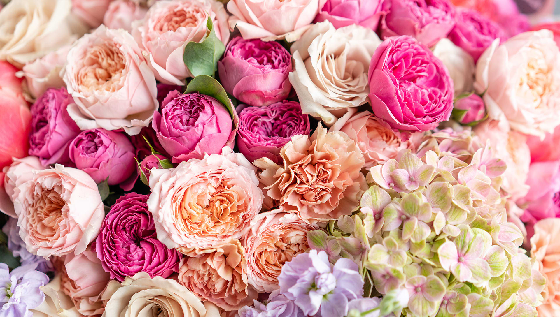 Fort Lee Florist Flower Delivery by Violet's Florist