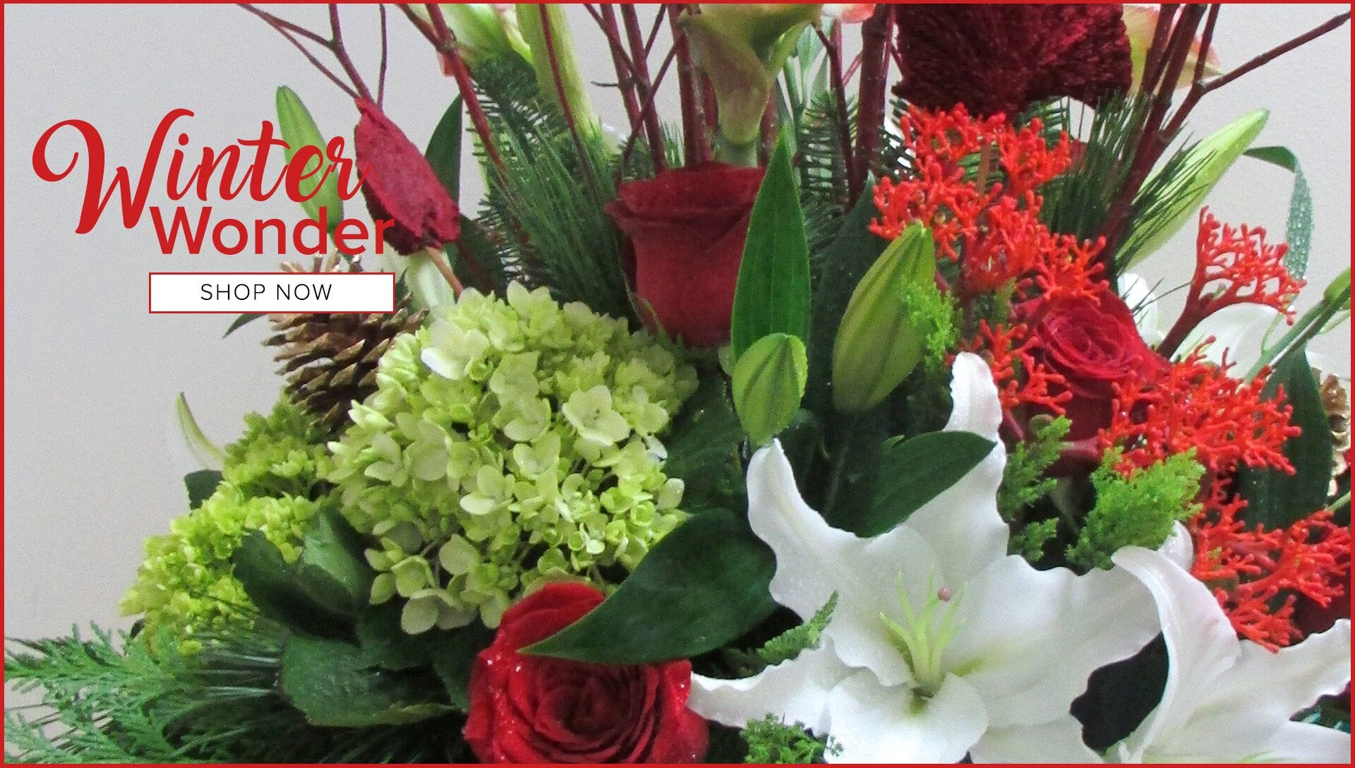 Laguna Niguel Florist Flower Delivery by Crown Valley Florist
