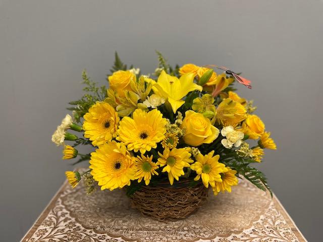 blossoms every day, Brighten your day