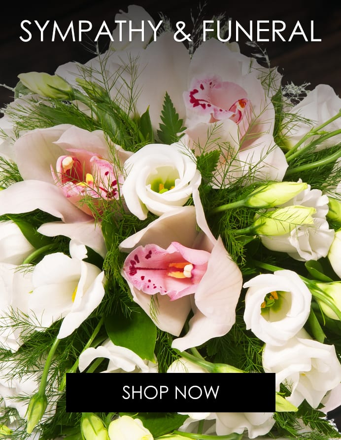 La Plata Florist Flower Delivery by Gateway Florist