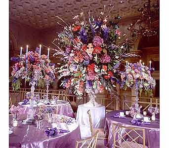 Weddings & Special Events