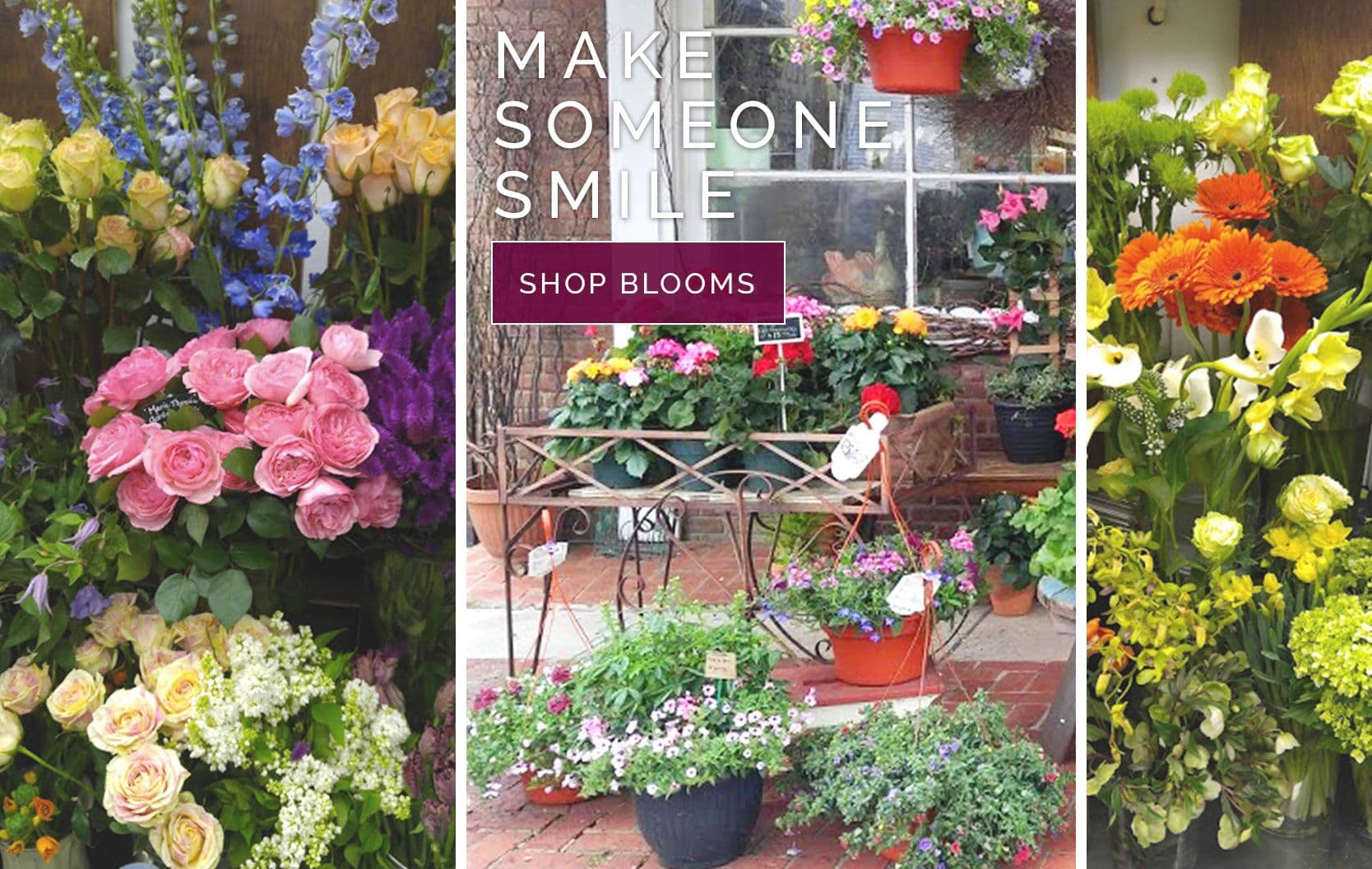 Westfield Florist Flower Delivery by The Flower Shop