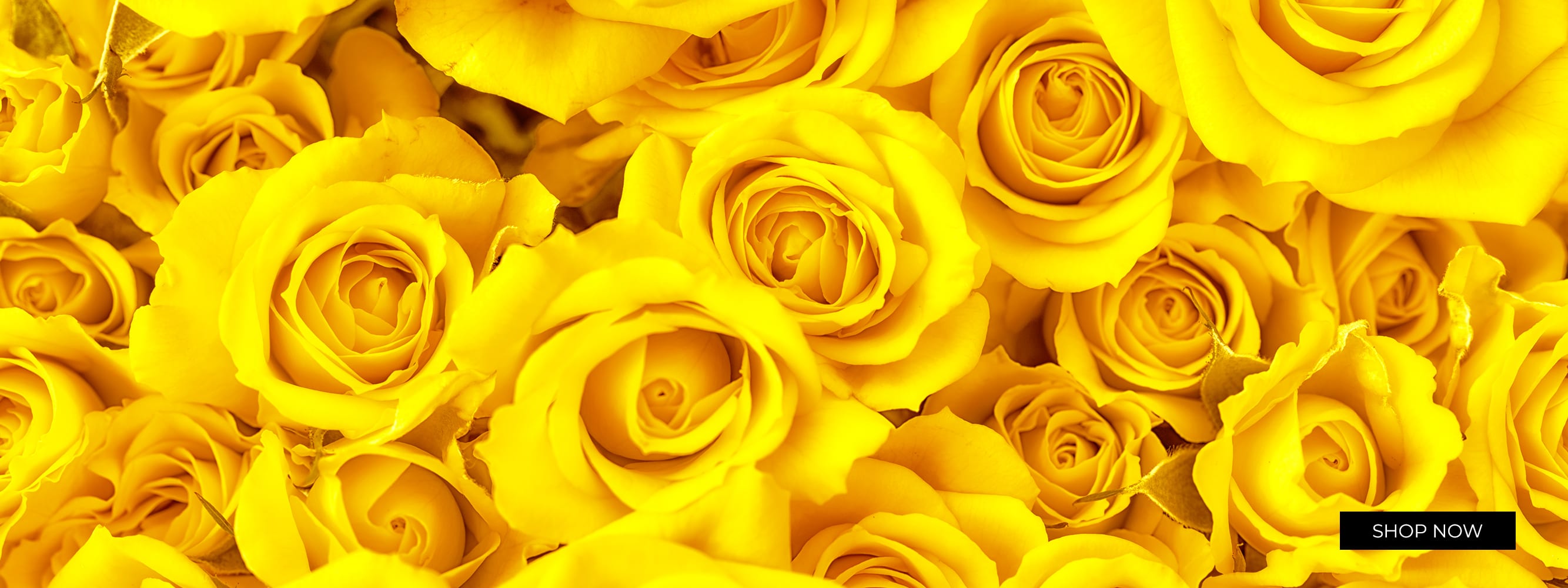 Dover Florist Flower Delivery by Sunnyside Florist & Greenhouses