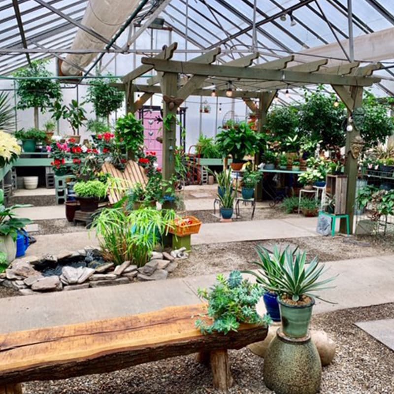 Greenhouse Risher Van Horn