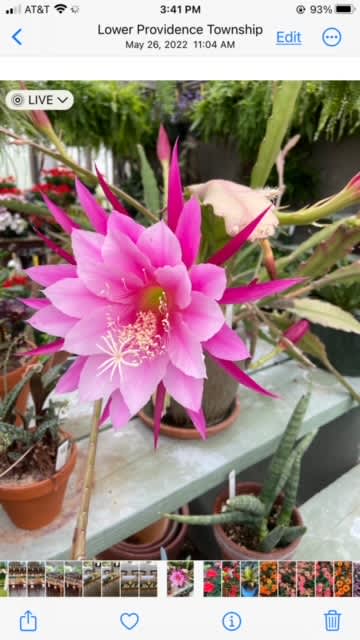 Green House/Private Events