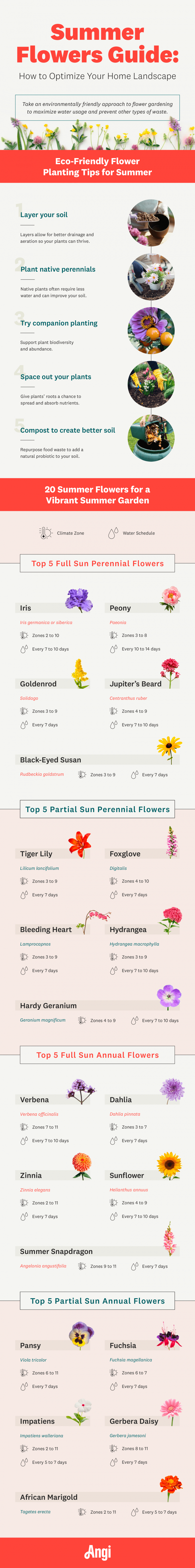 The Top 3 Flowers to Consider for Your Summer Garden