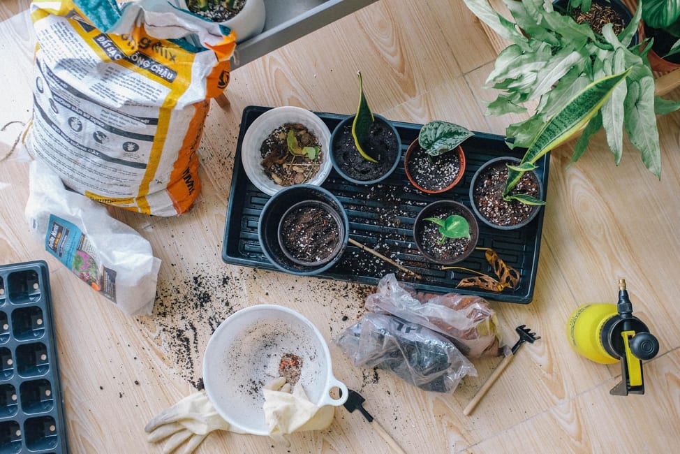 How to Transform Your Garage Into a Practical Garden