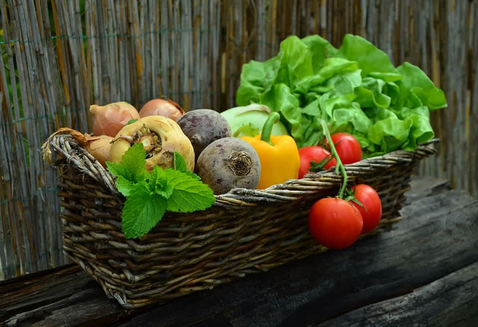 Save Time & Money While Enjoying a Fruitful Harvest