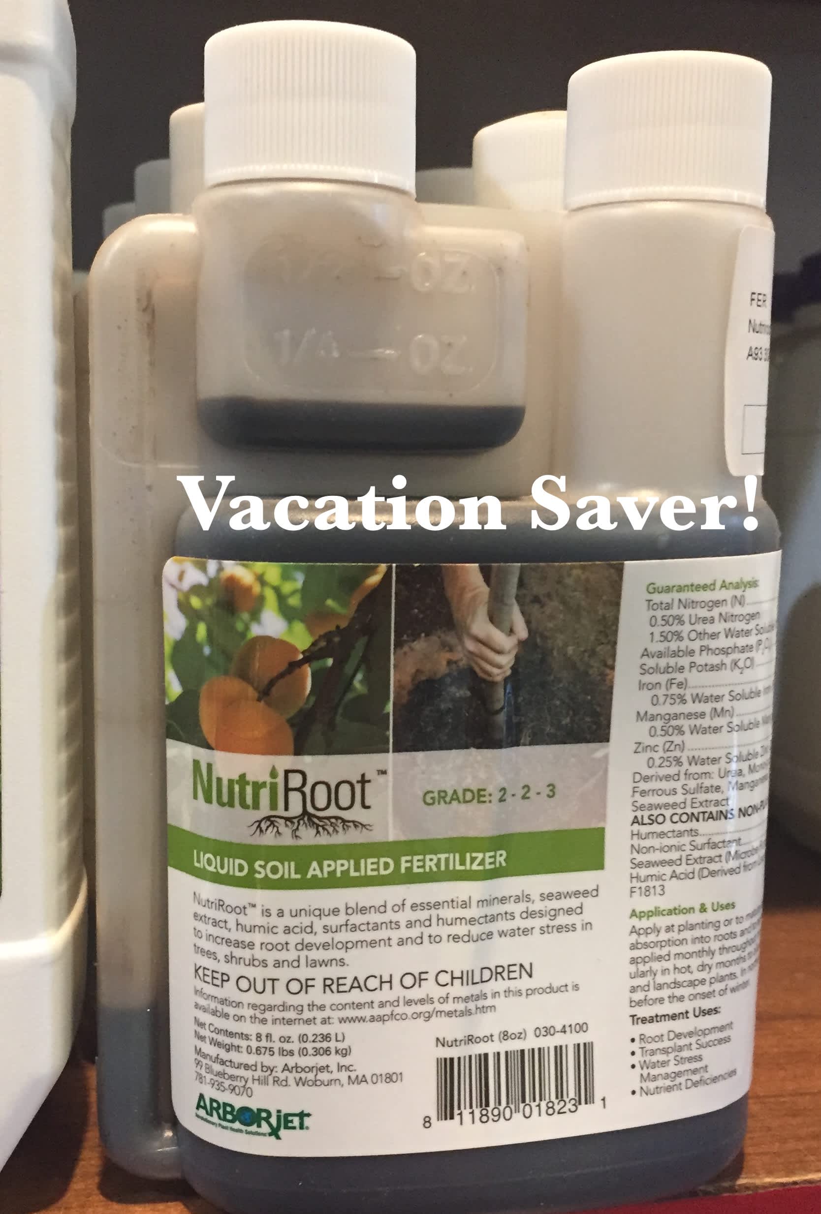 Saving Your Plants from Your Vacation!