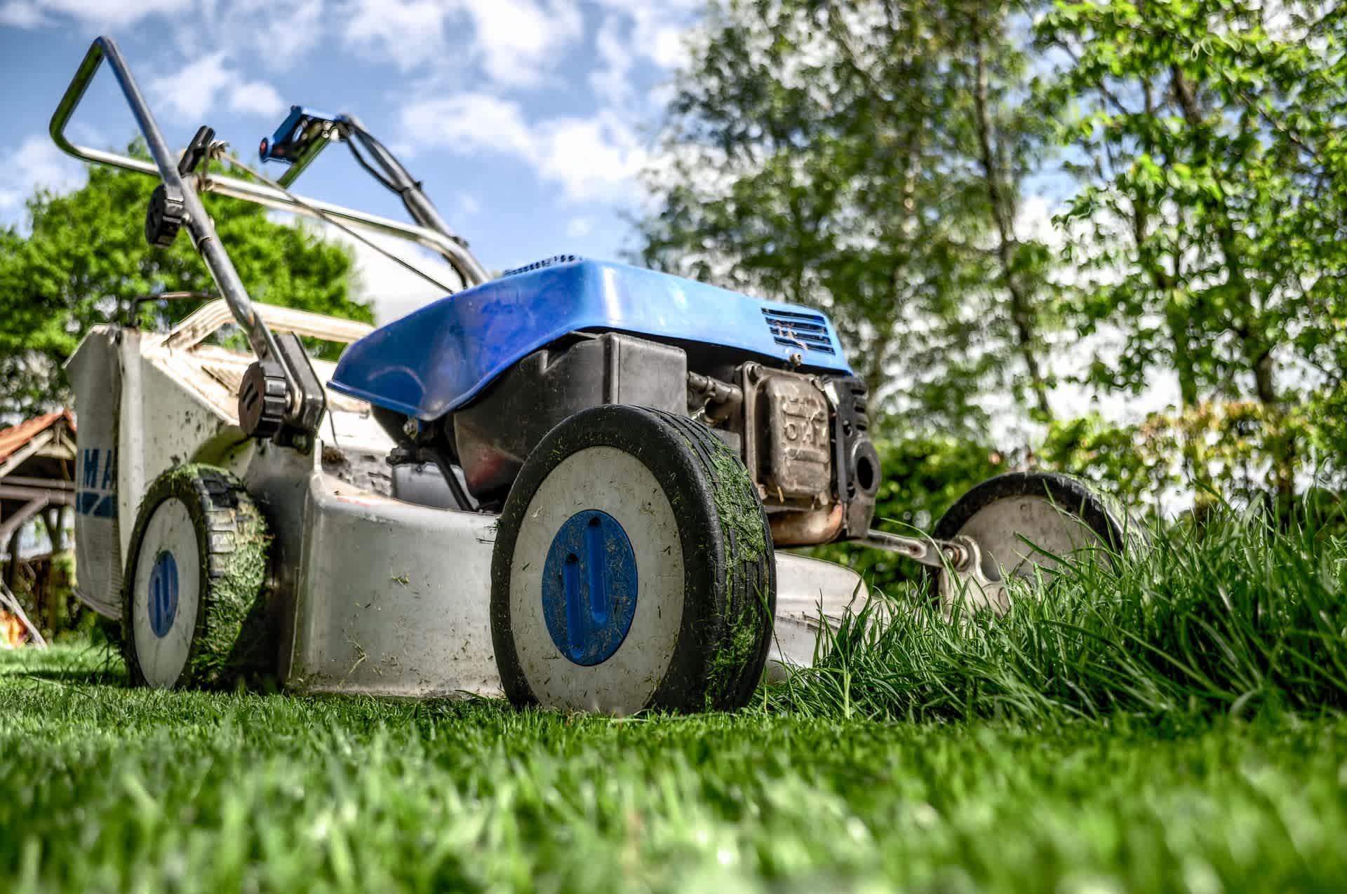 Curb Appeal: Tips for Making Your Garden Stand Out